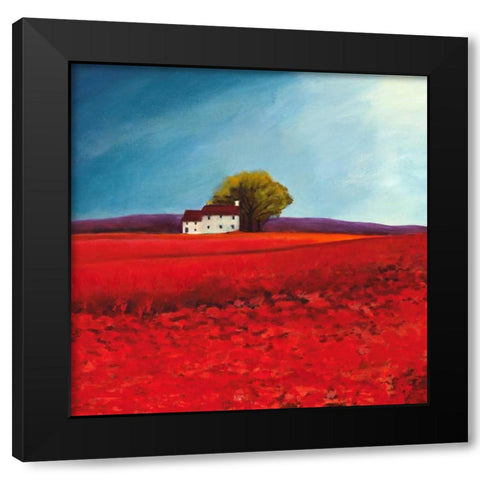 Field of poppies Black Modern Wood Framed Art Print with Double Matting by Bloom, Philip