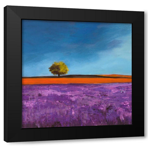 Field of Lavender Black Modern Wood Framed Art Print with Double Matting by Bloom, Philip