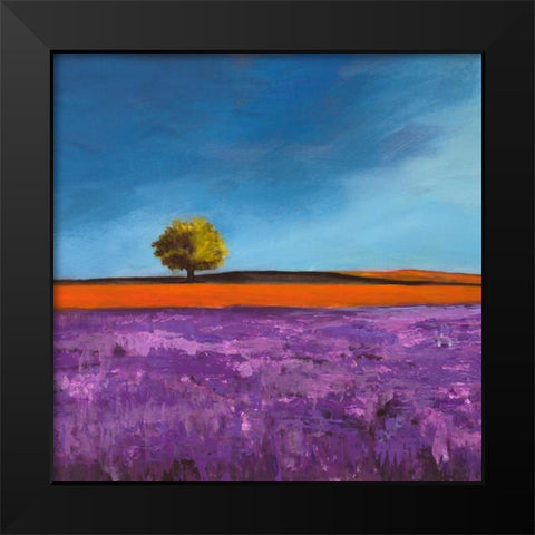 Field of Lavender Black Modern Wood Framed Art Print by Bloom, Philip