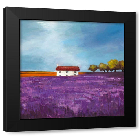 Field of Lavender Black Modern Wood Framed Art Print by Bloom, Philip