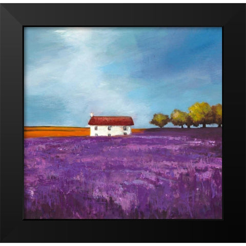 Field of Lavender Black Modern Wood Framed Art Print by Bloom, Philip