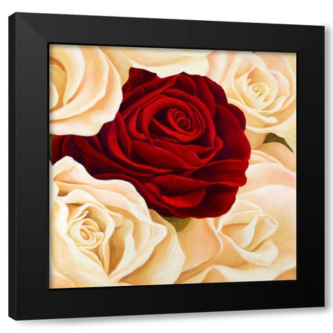 Rose composition Black Modern Wood Framed Art Print by Biffi, Serena