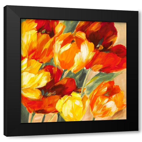 Tulips in the Sun II Black Modern Wood Framed Art Print by Stone, Jim