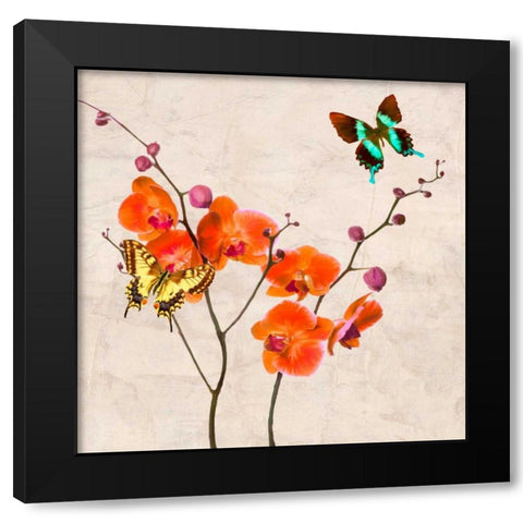 Orchids and Butterflies I Black Modern Wood Framed Art Print by Rizzardi, Teo