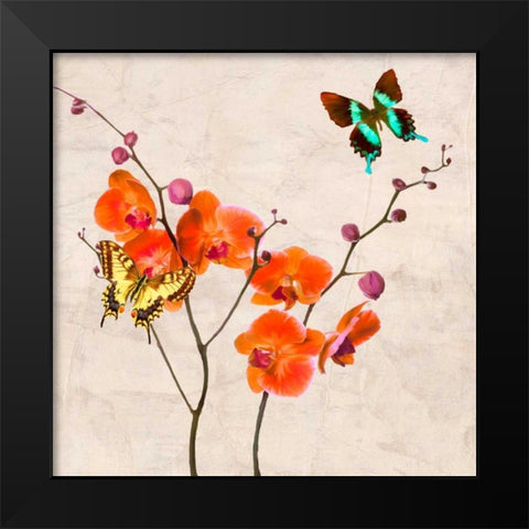 Orchids and Butterflies I Black Modern Wood Framed Art Print by Rizzardi, Teo
