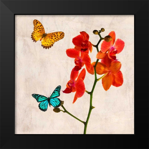 Orchids and Butterflies II Black Modern Wood Framed Art Print by Rizzardi, Teo