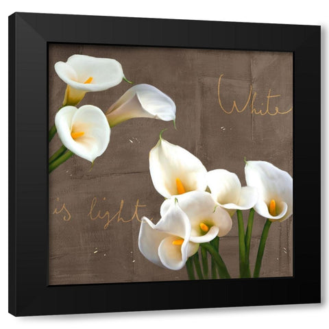 White Callas Black Modern Wood Framed Art Print with Double Matting by Rizzardi, Teo