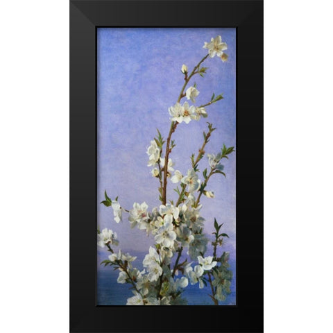 Blossom II Black Modern Wood Framed Art Print by Anderson, Sophie