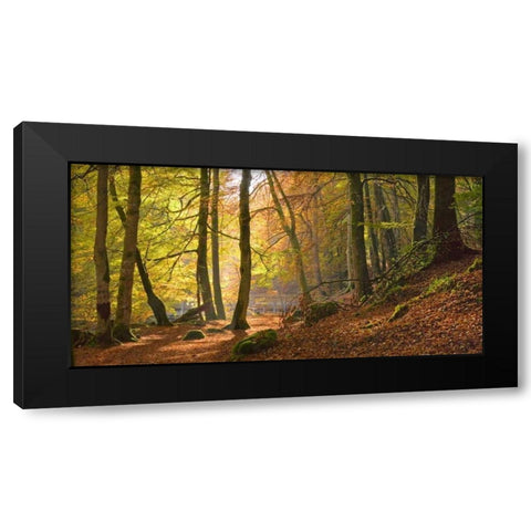 Autumn beech woods Birks o Aberfeldy Black Modern Wood Framed Art Print by Anonymous