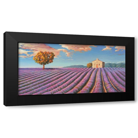 Campi di lavanda Black Modern Wood Framed Art Print with Double Matting by Galasso, Adriano