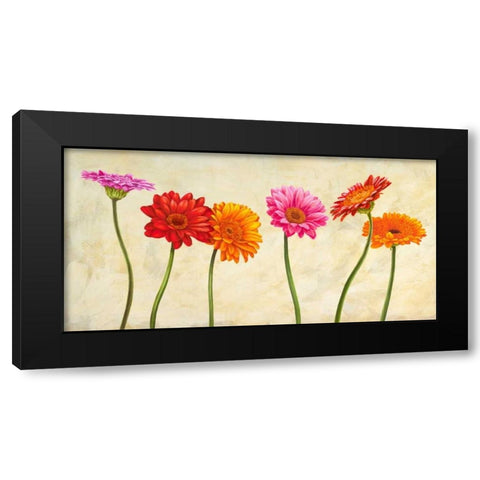 Gerberas Black Modern Wood Framed Art Print with Double Matting by Ann, Cynthia