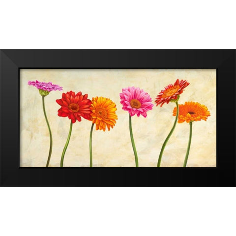 Gerberas Black Modern Wood Framed Art Print by Ann, Cynthia