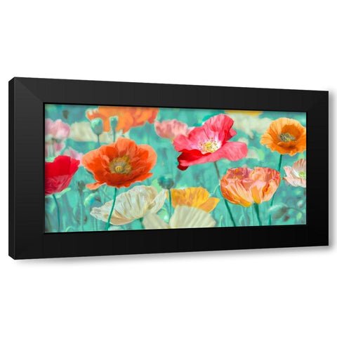 Poppies in Bloom Black Modern Wood Framed Art Print by Cynthia, Ann