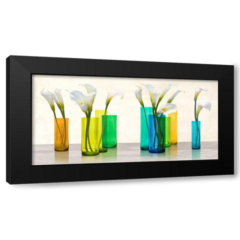 Callas in crystal vases Black Modern Wood Framed Art Print with Double Matting by Cynthia, Ann