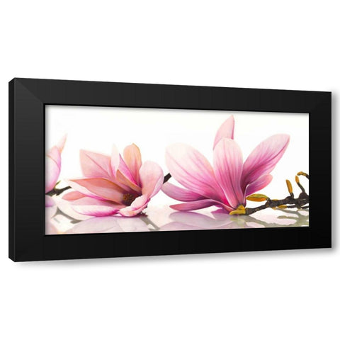 Magnolia Black Modern Wood Framed Art Print with Double Matting by Ann, Cynthia