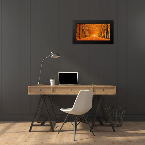 Woods in autumn Black Modern Wood Framed Art Print by Pangea Images