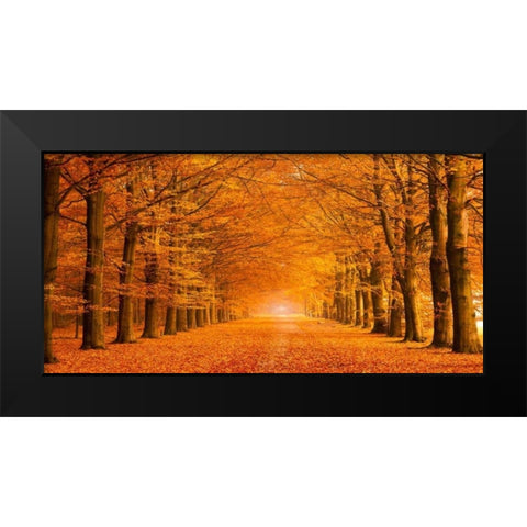 Woods in autumn Black Modern Wood Framed Art Print by Pangea Images