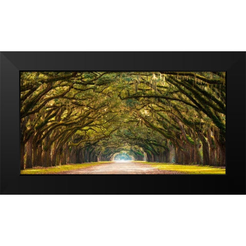 Path lined with oak trees Black Modern Wood Framed Art Print by Anonymous