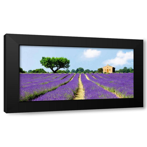 Lavender Fields, France  Black Modern Wood Framed Art Print by Pangea Images