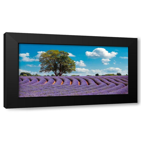 Lavender Field in Provence, France Black Modern Wood Framed Art Print by Pangea Images