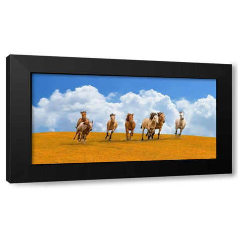 Herd of wild horses Black Modern Wood Framed Art Print with Double Matting by Pangea Images