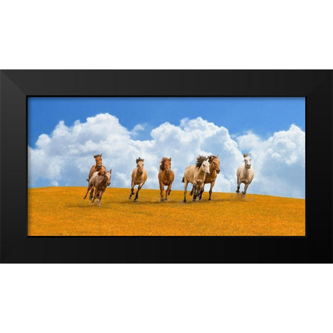 Herd of wild horses Black Modern Wood Framed Art Print by Pangea Images
