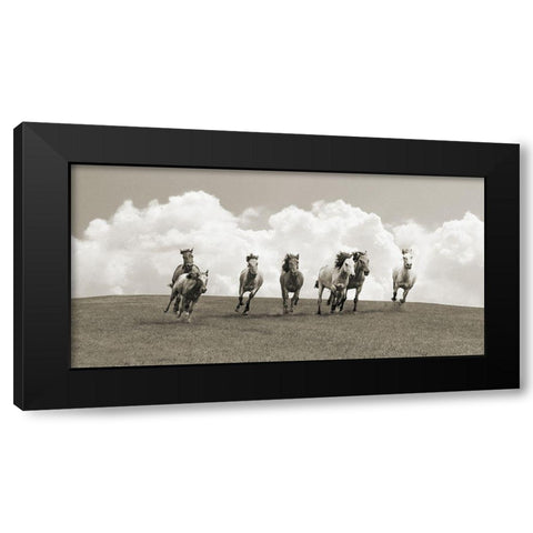 Herd of wild horses (BW) Black Modern Wood Framed Art Print with Double Matting by Pangea Images