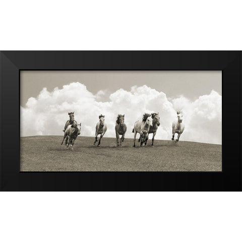Herd of wild horses (BW) Black Modern Wood Framed Art Print by Pangea Images