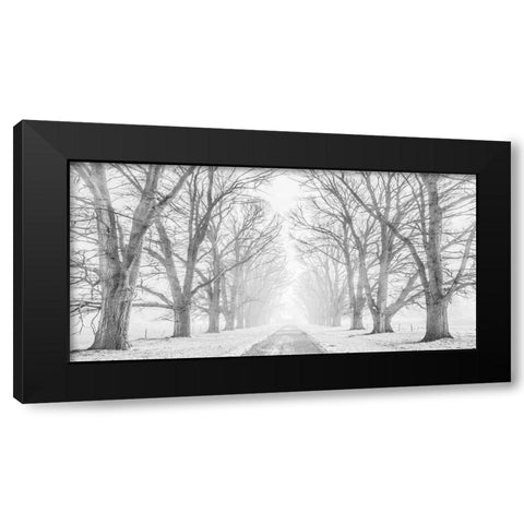 Tree lined road in the snow Black Modern Wood Framed Art Print with Double Matting by Pangea Images