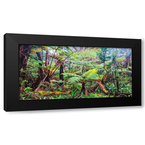 Palm and fern forest, Hawaii (detail) Black Modern Wood Framed Art Print by Pangea Images