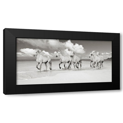 Band of Brothers- Lanikai Beach- Hawaii (BW) Black Modern Wood Framed Art Print with Double Matting by Pangea Images