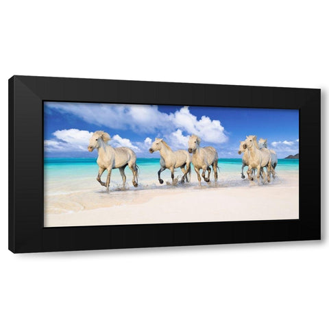 Band of Brothers- Lanikai Beach- Hawaii Black Modern Wood Framed Art Print with Double Matting by Pangea Images