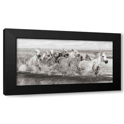 Herd of Horses- Camargue Black Modern Wood Framed Art Print with Double Matting by Pangea Images