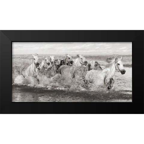 Herd of Horses- Camargue Black Modern Wood Framed Art Print by Pangea Images