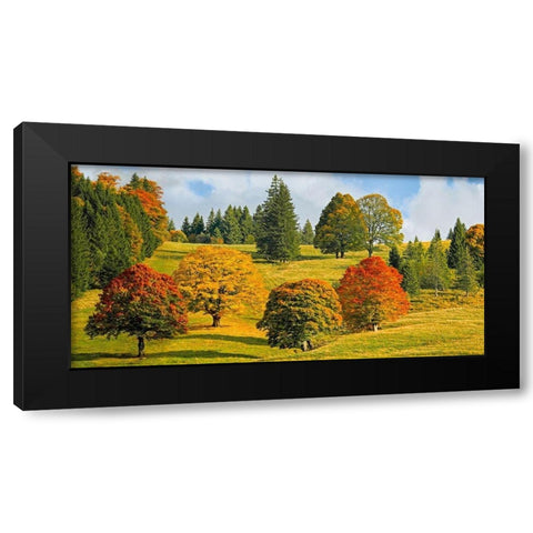 Autumn in Quebec Black Modern Wood Framed Art Print by Pangea Images