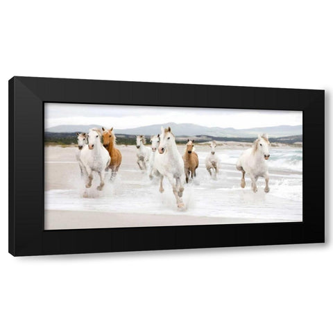 Horses on the beach Black Modern Wood Framed Art Print with Double Matting by Zero Creative STUDIO
