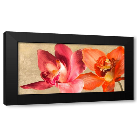 Two Orchids Black Modern Wood Framed Art Print with Double Matting by Antinori, Andrea