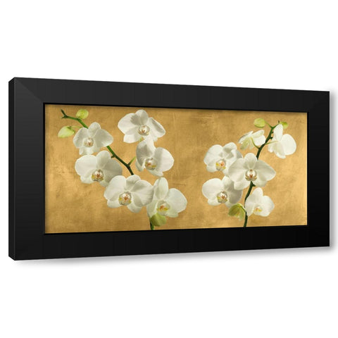Orchids on a Golden Background Black Modern Wood Framed Art Print by Antinori, Andrea