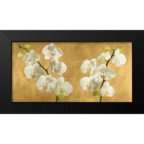 Orchids on a Golden Background Black Modern Wood Framed Art Print by Antinori, Andrea