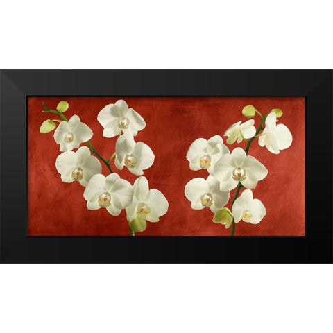 Orchids on Red Background Black Modern Wood Framed Art Print by Antinori, Andrea