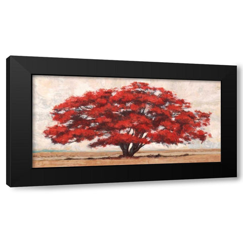 Silva Black Modern Wood Framed Art Print by Bacci, Leonardo
