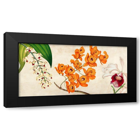 Panneau Botanique II Black Modern Wood Framed Art Print with Double Matting by Dellal, Remy