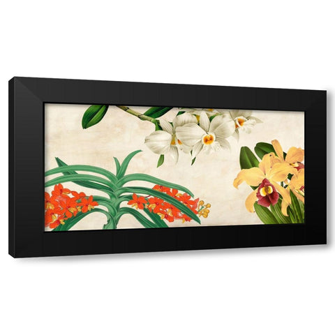 Panneau Botanique III Black Modern Wood Framed Art Print with Double Matting by Dellal, Remy