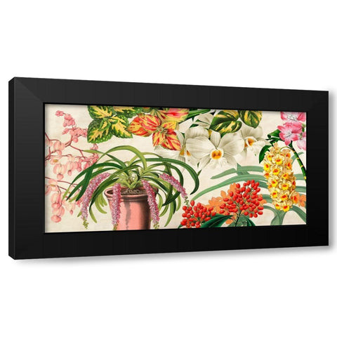 Panneau Botanique IV Black Modern Wood Framed Art Print with Double Matting by Dellal, Remy