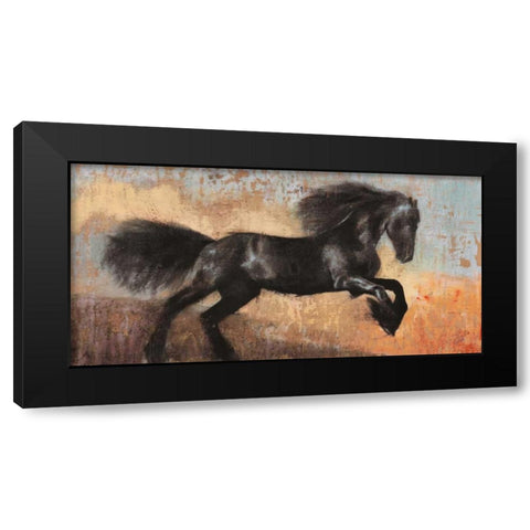 Black Stallion Black Modern Wood Framed Art Print with Double Matting by Moschetta, Dario