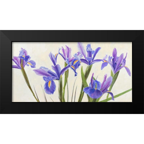 Iris Black Modern Wood Framed Art Print by Dolci, Elena