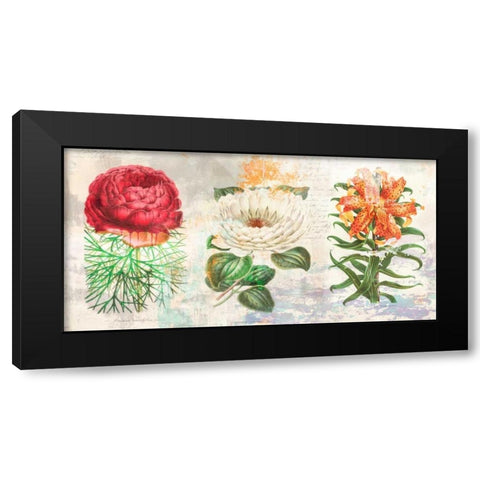 Hortus Botanicus 2.0 Black Modern Wood Framed Art Print by Chestier, Eric