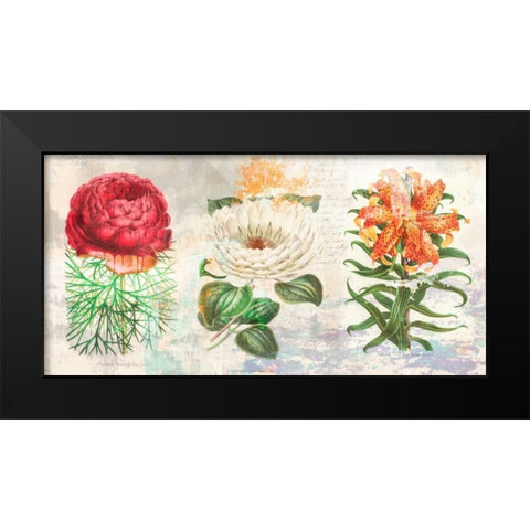 Hortus Botanicus 2.0 Black Modern Wood Framed Art Print by Chestier, Eric