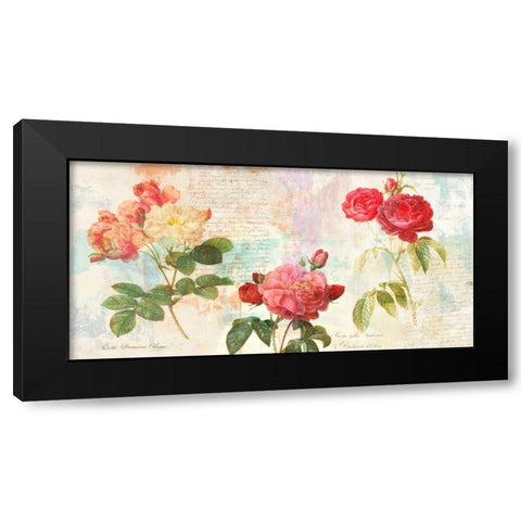 Redoutes Roses 2.0 Black Modern Wood Framed Art Print with Double Matting by Chestier, Eric