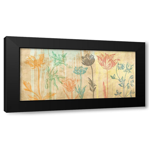 Botaniques Cochin 2 (coleurs) Black Modern Wood Framed Art Print with Double Matting by Eric, Chestier